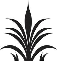 aloe lugn vektor växt emblem i svart botanisk friskhet aloe vera svart logotyp ikon