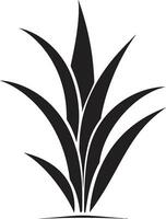 ört- oas vektor aloe växt ikon naturlig wellness aloe svart logotyp design