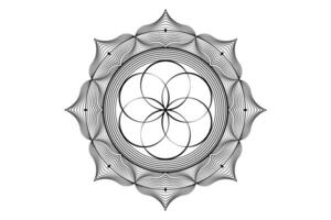 heilig Lotus mandala, mystisch Blume von Leben. heilig Geometrie, Vektor Logo Grafik Element isoliert. Mystiker Symbol Samen von Leben, abstrakt geometrisch Zeichnung, esoterisch Lotus Blume auf Weiß Hintergrund