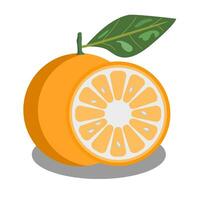 orange frukt isolerad på vitt vektor