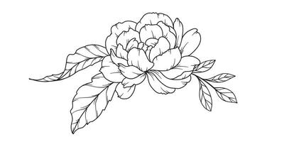 pion linje teckning. svart och vit blommig buketter. blomma färg sida. blommig linje konst. bra linje pion illustration. hand dragen blommor. botanisk färg. bröllop inbjudan blommor vektor