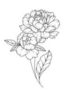 pion linje teckning. svart och vit blommig buketter. blomma färg sida. blommig linje konst. bra linje pion illustration. hand dragen blommor. botanisk färg. bröllop inbjudan blommor vektor