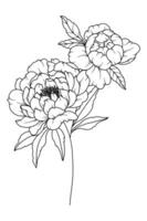 pion linje teckning. svart och vit blommig buketter. blomma färg sida. blommig linje konst. bra linje pion illustration. hand dragen blommor. botanisk färg. bröllop inbjudan blommor vektor