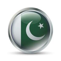 pakistan flagga 3d bricka illustration vektor