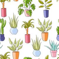 hus växt platt mönster. sömlös vektor mönster med Hem växter. hus växter i kastruller vektor illustration. krukväxt bakgrund.