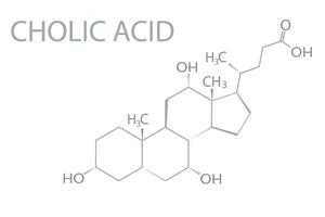 cholisch Acid molekular Skelett- chemisch Formel vektor