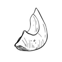 Avocado Scheibe Vektor Illustration. Avocado Obst reif. schwarz Gliederung Grafik Zeichnung. tropisch vegan Essen Tinte Linie Kontur