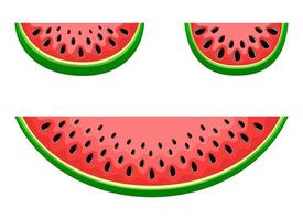 vattenmelon frukt vektor design illustration isolerad på vit bakgrund