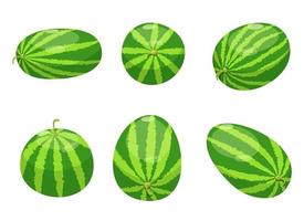 Wassermelonenfruchtvektor-Designillustration lokalisiert auf weißem Hintergrund vektor