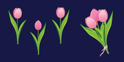 Tulpe Blumen Satz. Blume Pflanzen mit Rosa Blütenblätter. botanisch Vektor Illustration auf isoliert Hintergrund. Frühling Blumen zum Damen Tag, Mutter Tag, Ostern und andere Feiertage. Rosa Tulpen