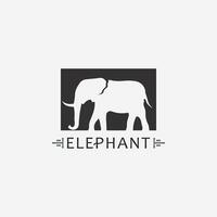 Elefant Logo Vektor Illustrator Designvorlage