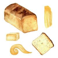 Toast Brot ganze und Scheibe Aquarell Illustration isoliert auf Weiß Hintergrund. Hand gezeichnet Scheibe von Brot und Butter einstellen zum Bäckerei Geschäft. gemalt frisch Brot Seite Sicht. Elemente zum Poster, Lebensmittelgeschäft vektor
