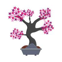 bonsai sakura blomma i pott illustration vektor