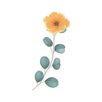 Vektor Hand gezeichnet Aquarell Blumen- Blätter Illustration