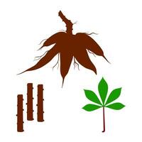 vektor illustration av maniok rötter, löv och trä. manihot esculenta. lökar på vit bakgrund. lämplig för nationell tapioka banderoller.