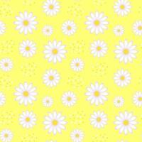 nahtloses Muster mit Kamillenblüten auf gelbem Hintergrund. vektor