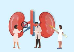 Ärzte Tragen aus medizinisch Forschung, Untersuchung von Niere. Niere Krankheit Behandlung durch Profis. prüfen von Gesundheit und Zustand. Niere Steine. Nephrologie, Urologie Konzept. Vektor Illustration