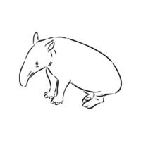 Tapir Vektor skizzieren