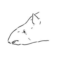tapir vektor skiss