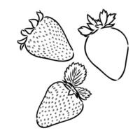 Erdbeere Vektor skizzieren