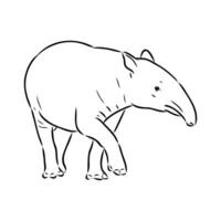 Tapir Vektor skizzieren