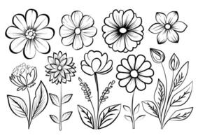 botanisch Künste. Hand gezeichnet kontinuierlich Linie Zeichnung von abstrakt Blume, Blumen, Rose, tropisch Blätter, Frühling und Herbst Blatt, Strauß von Oliven. Vektor Illustration.