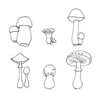 uppsättning av vektor ritningar av svamp i tecknad serie stil på en vit bakgrund, dragen förbi hand