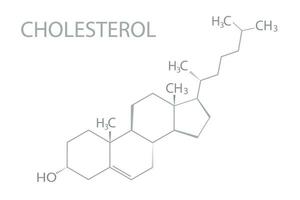 kolesterol molekyl skelett- kemisk formel vektor