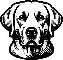 Retriever Hund Gesicht isoliert Illustration Profi Vektor