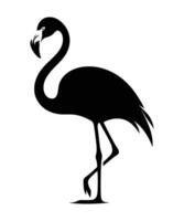 Flamingo-Silhouette-Vektor-Illustration-Design vektor
