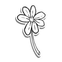 schwarz Linie einer Gänseblümchen Blume blühen auf Weiß Silhouette und grau Schatten. Hand gezeichnet Karikatur Stil. Vektor Illustration zum schmücken, Färbung und irgendein Design.