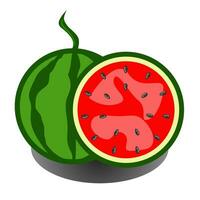 illustration av en vattenmelon vektor