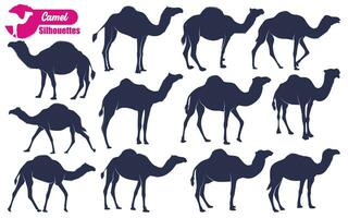 svart gående kamel silhuetter vektor