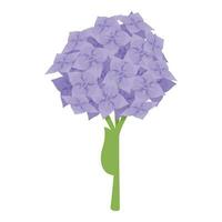 vår hortensia ikon tecknad serie vektor. blomma kärlek blommig vektor