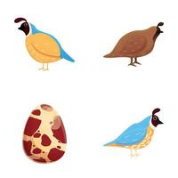 rapphöns fågel ikoner uppsättning tecknad serie vektor. brokig vild fågel vektor