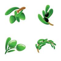 Olive Symbole einstellen Karikatur Vektor. Grün und schwarz Olive auf Ast vektor