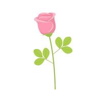 Rosa Rose Blume Stengel mit Grün Blätter. Liebe Symbol und Geschenk zum Valentinstag Tag. Vektor Illustration isoliert auf Weiß Hintergrund. detailliert Karikatur Element zum Urlaub Muster, Verpackung, Designs