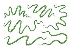 form av skarp lian vinstockar. djungel tagg gren. samling av naturlig dekorativ illustration isolerat på vit. skog vriden tropisk trä vektor