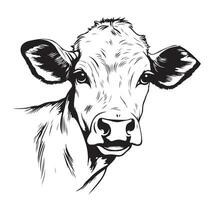 Kuh Porträt skizzieren Hand gezeichnet Landwirtschaft und das Vieh Zucht Vektor Illustration.