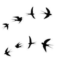 schwarz Vogel Symbol fliegend vektor