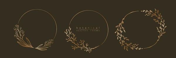 botanisch golden Kreis Rahmen Satz. Hand gezeichnet runden Linie Grenze, Blätter und Blumen zum Hochzeit Einladung und Karten, Logo Design, Sozial Medien und Plakate Vorlage. elegant minimal Blumen- Vektor. vektor