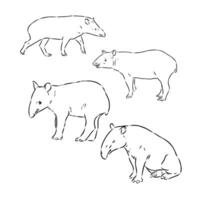Tapir Vektor skizzieren