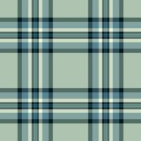 Muster Textur nahtlos von Vektor prüfen Stoff mit ein Tartan Plaid Hintergrund Textil.