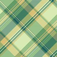 bilden Tartan Textil- Vektor, wiederholen prüfen Hintergrund Textur. nackt nahtlos Plaid Stoff Muster im Licht und Grün Farben. vektor