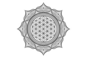 helig lotus yantra mandala, mystisk blomma av liv. helig geometri, vektor logotyp grafisk element isolerat. mystiker ikon utsäde av liv, geometrisk teckning tecken, esoterisk lotus blomma på vit bakgrund