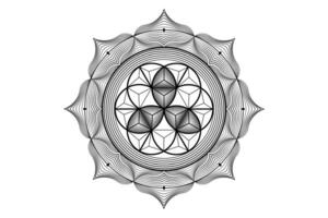 heilig Lotus Yantra mandala, mystisch Blume von Leben. heilig Geometrie, Vektor Logo Grafik Element isoliert. Mystiker Symbol Samen von Leben, 3d geometrisch Zeichnung, esoterisch Lotus Blume auf Weiß Hintergrund