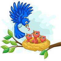 Mutter blauer Vogel, der Babys in einem Nest füttert vektor