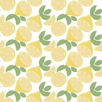 botanisk citrus- sömlös mönster vektor illustration