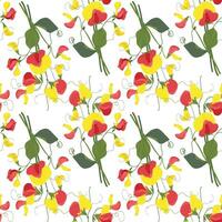 nahtlos Vektor Muster mit Süss Erbse Blumen. Blumen- Muster zum Hintergrund oder Stoff, Textil. rot und Gelb Sommer- Blumen und Grün Laub auf ein Weiß Hintergrund.