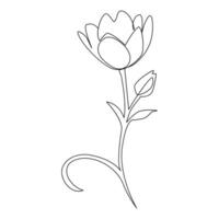 vektor blomma i ett linje konst teckning isolerat på vit bakgrund minimalistisk